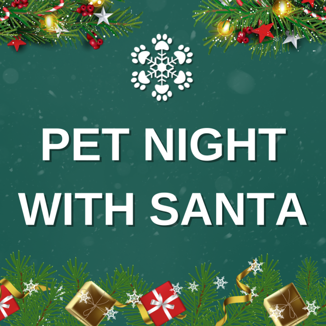 Santa Pet Night 1080 x 1080 px