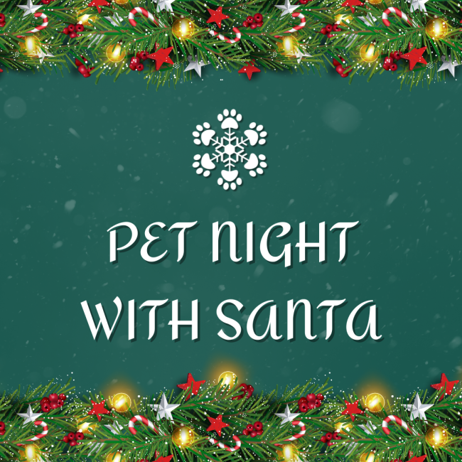 Santa Pet Night Events 1080 x 1080 px 1